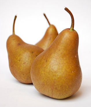 produce - fruits - bosc pear